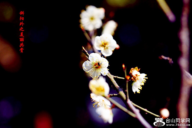 _MG_06702015.1.1_.jpg