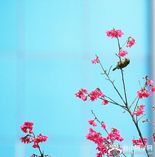 _MG_47112015.1.1_.jpg