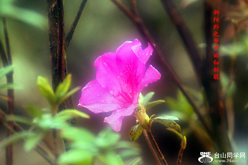 _MG_33832015.1.1_.jpg