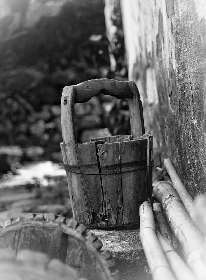 DSC_0273.jpg