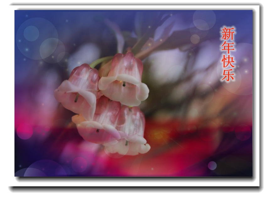 IMG_5570_conew2_副本.jpg