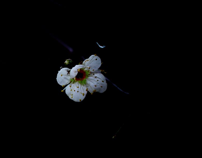 IMG_7446_.jpg
