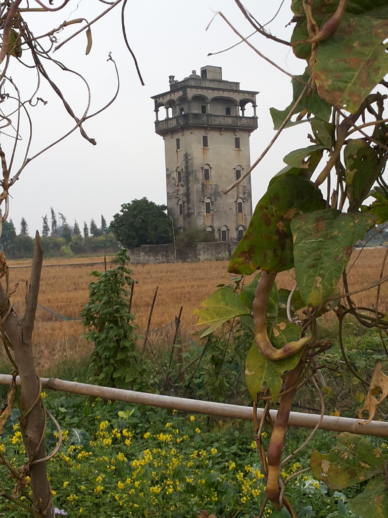 CYMERA_20141227_151953.jpg