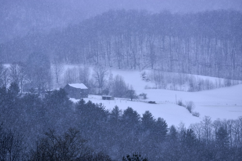 _DSC6410_01.JPG