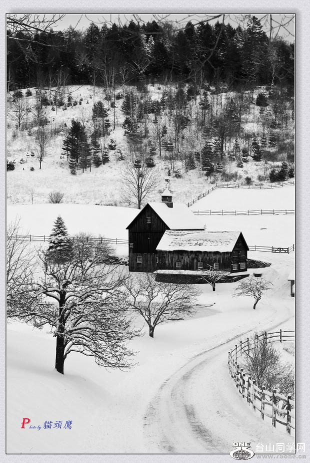 �}�u -����ѩ�� 128-2-2.jpg