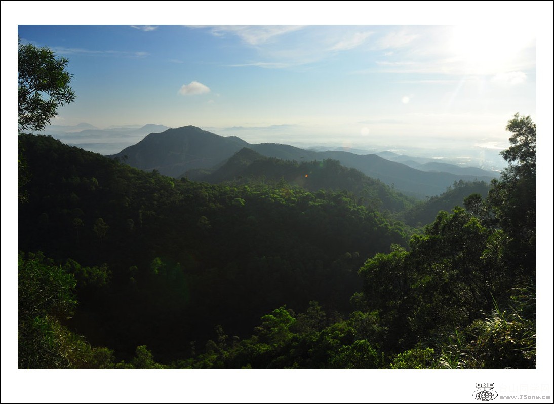 DSC_0352_conew1.jpg