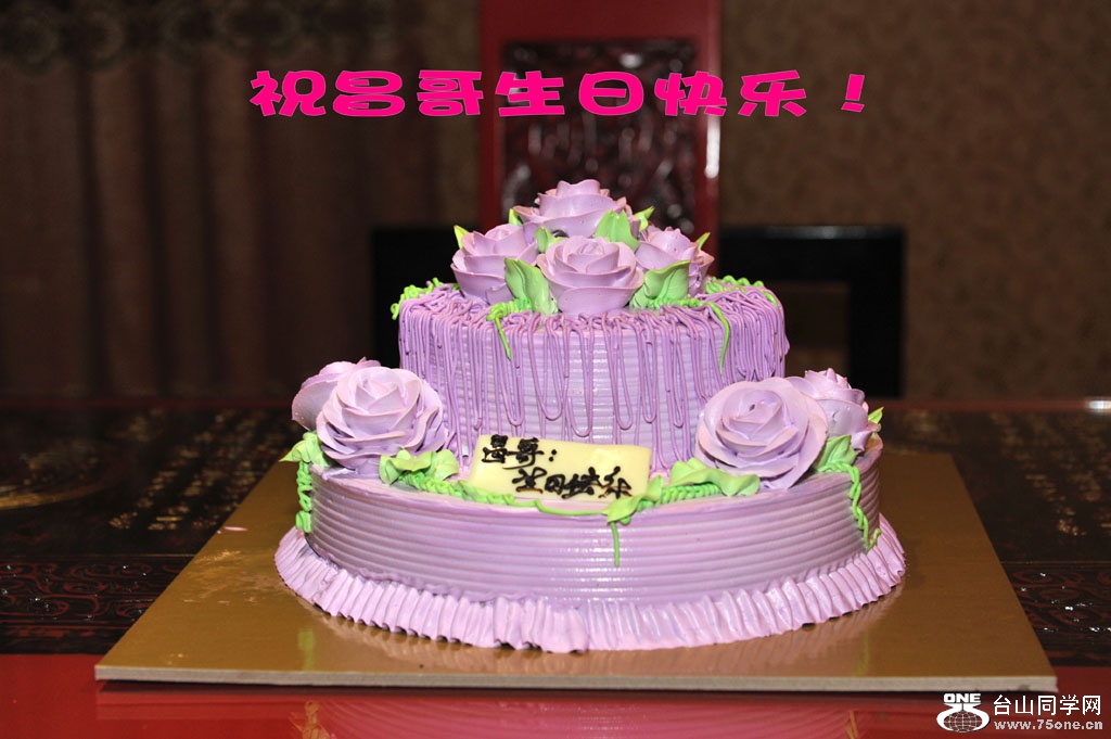 DSC_8978_conew1.jpg