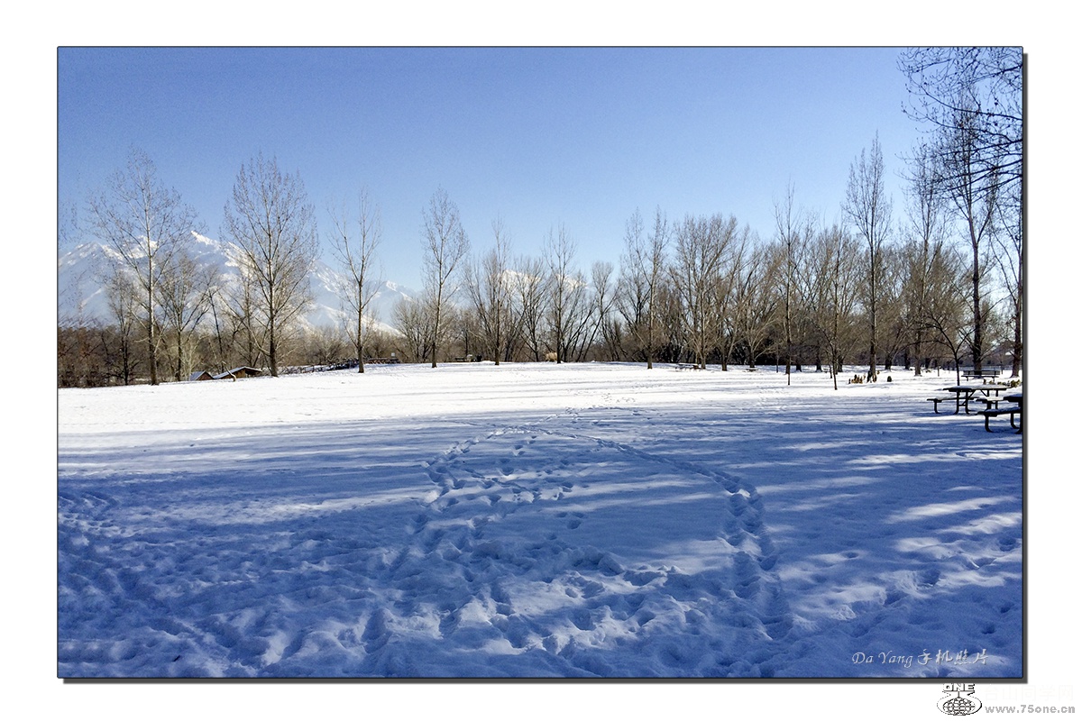 QQͼƬ20150103014150-A.jpg