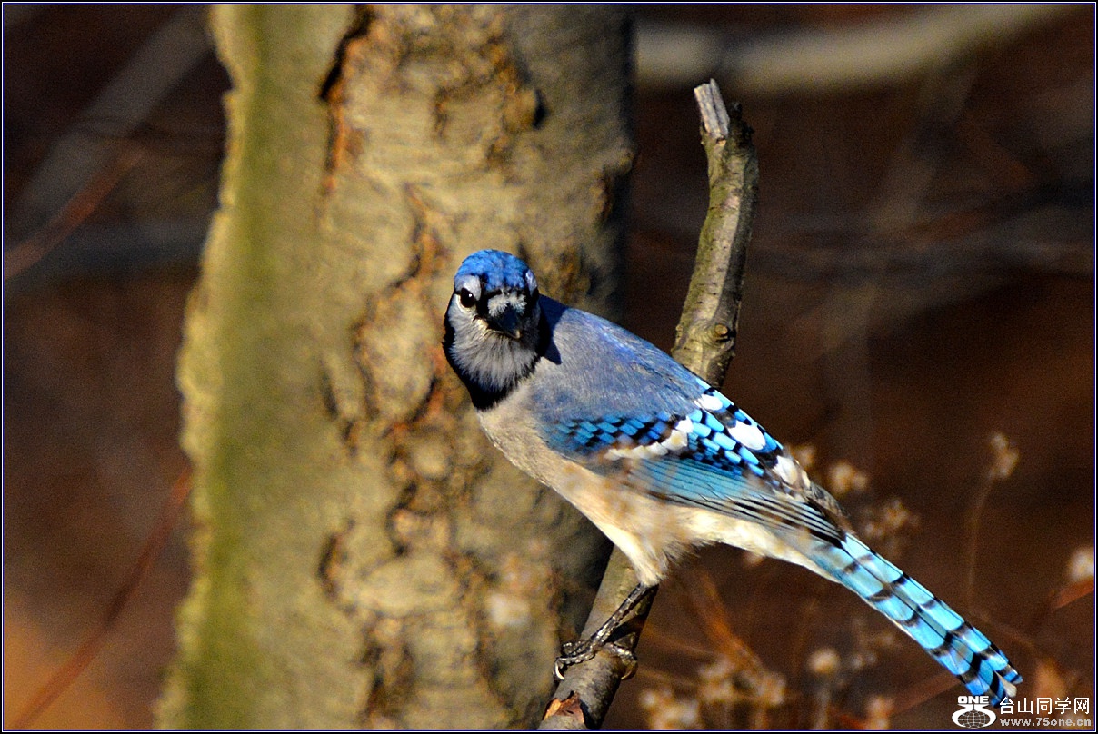 DSC_7643.jpg