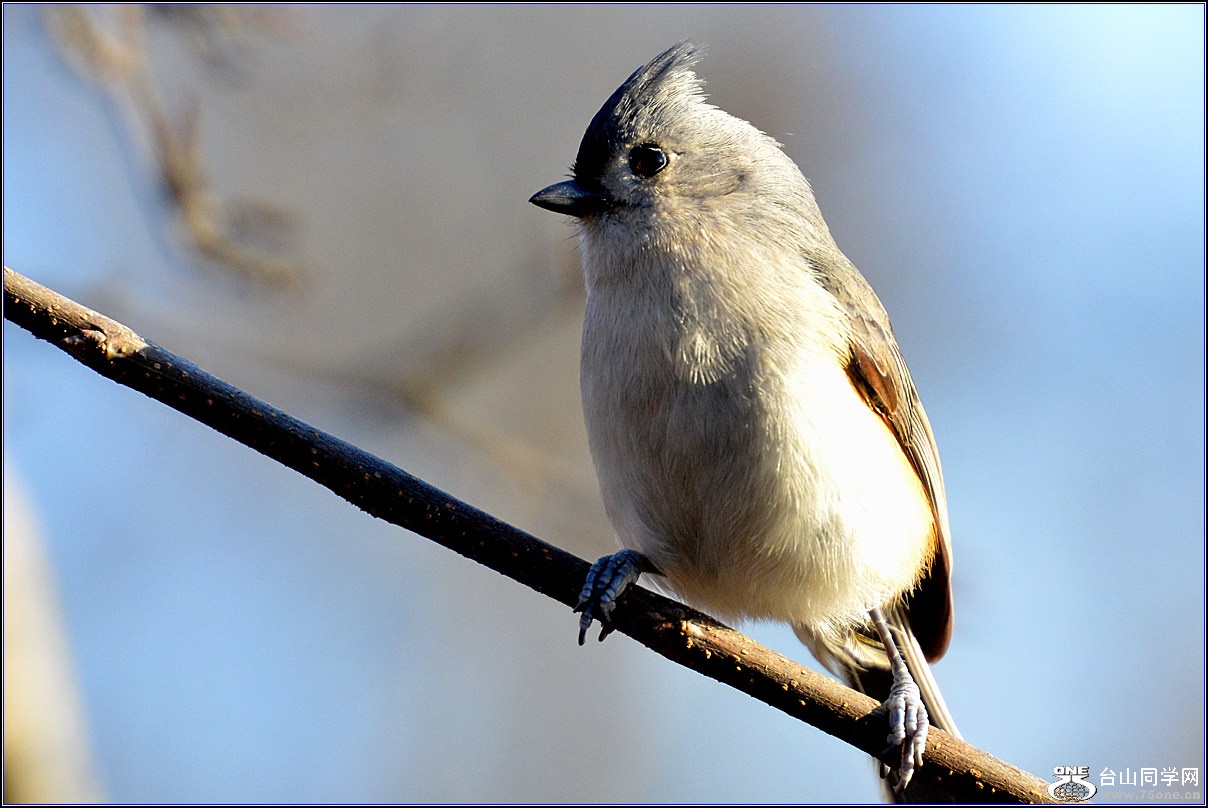 DSC_7546.jpg