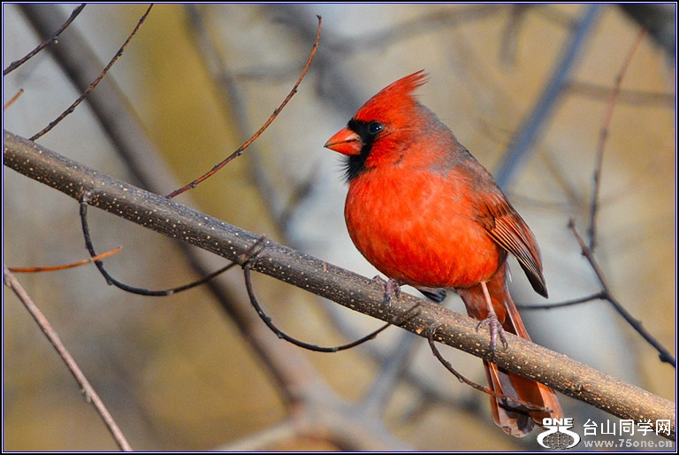 DSC_7903.jpg