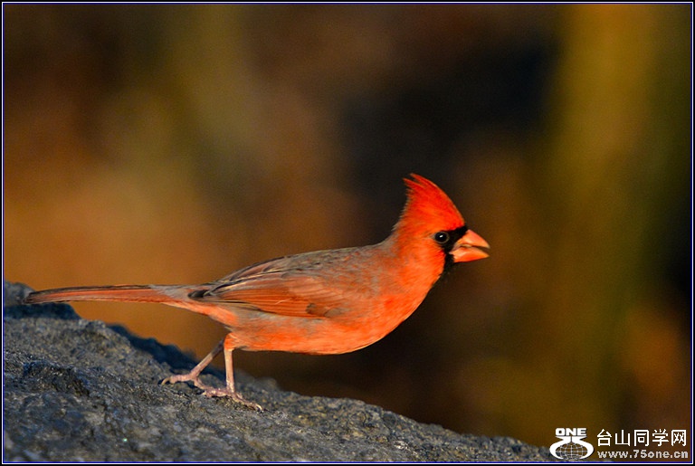 DSC_7923.jpg