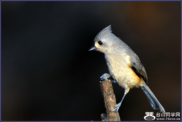 DSC_7962.jpg