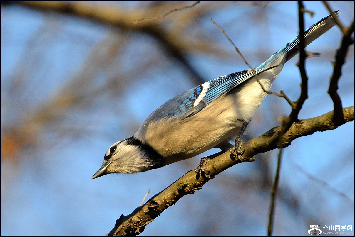 DSC_7658.jpg