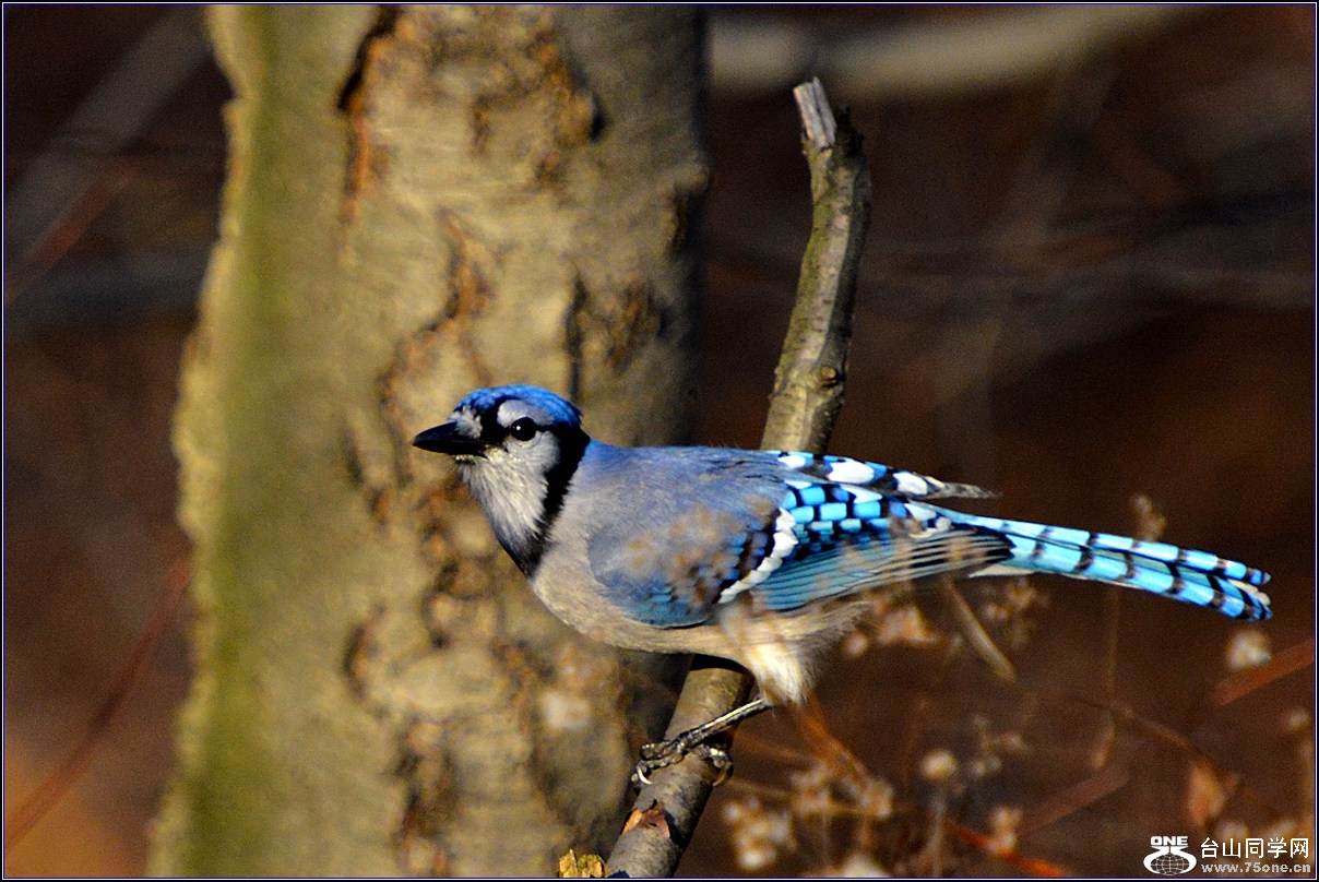 DSC_7645.jpg