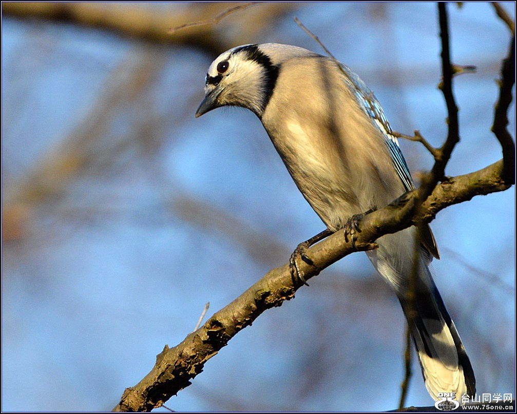 DSC_7655.jpg