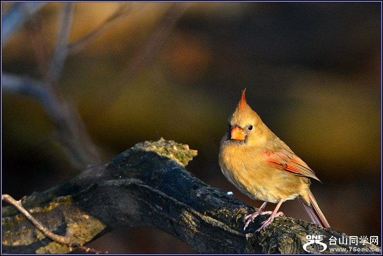 DSC_7878.jpg