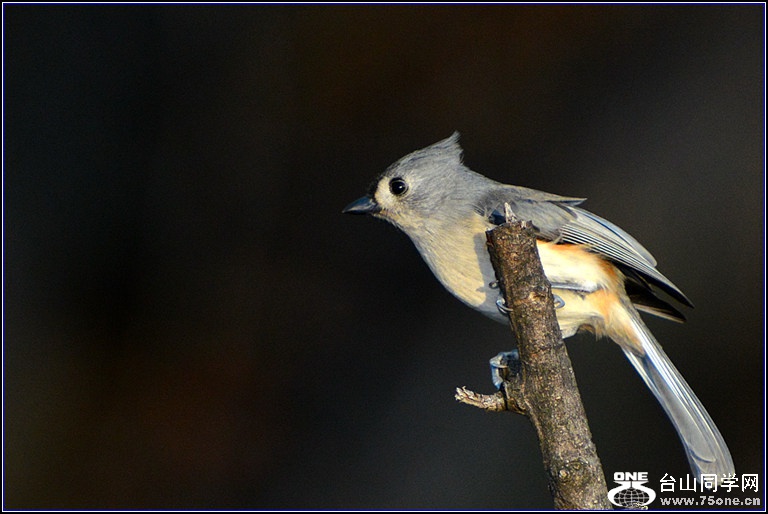 DSC_7926.jpg