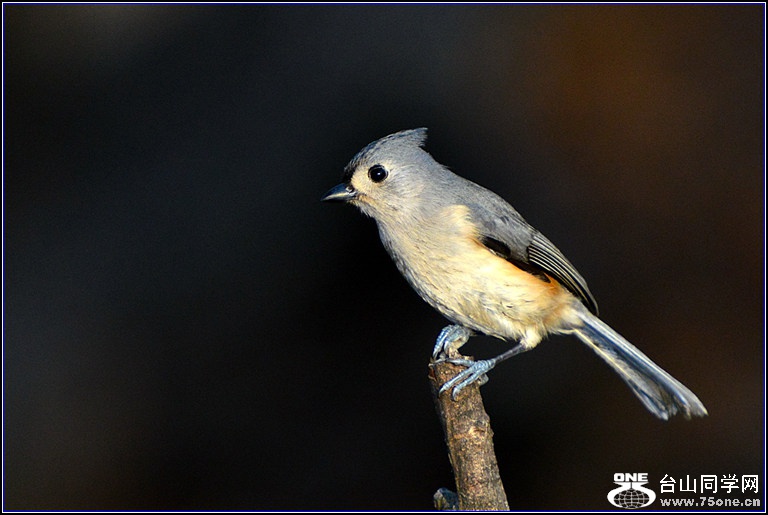 DSC_7964.jpg
