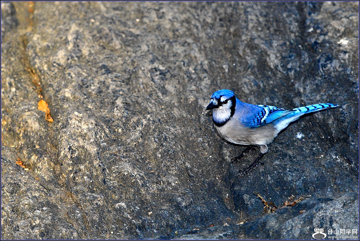 DSC_7777.jpg