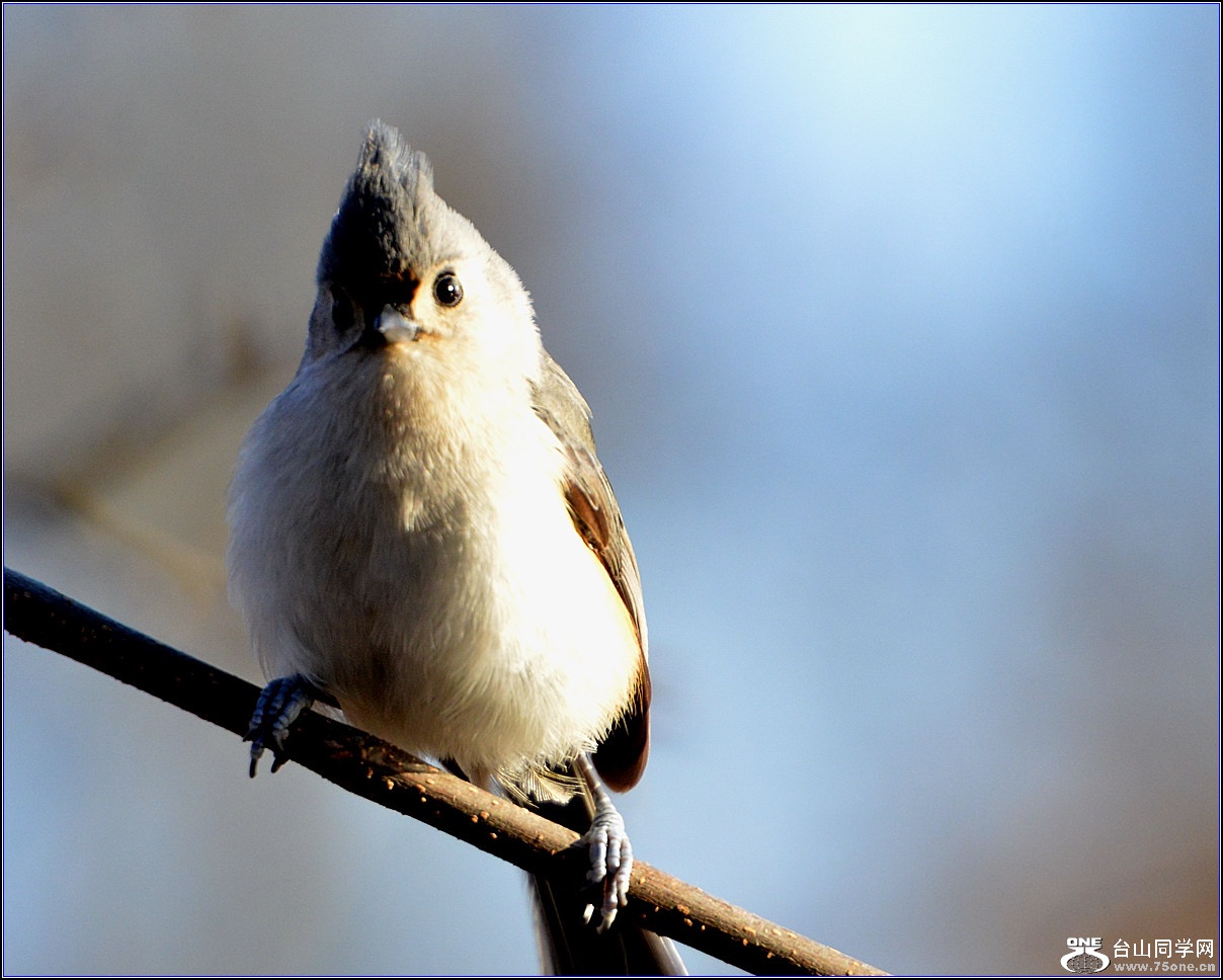 DSC_7548.jpg