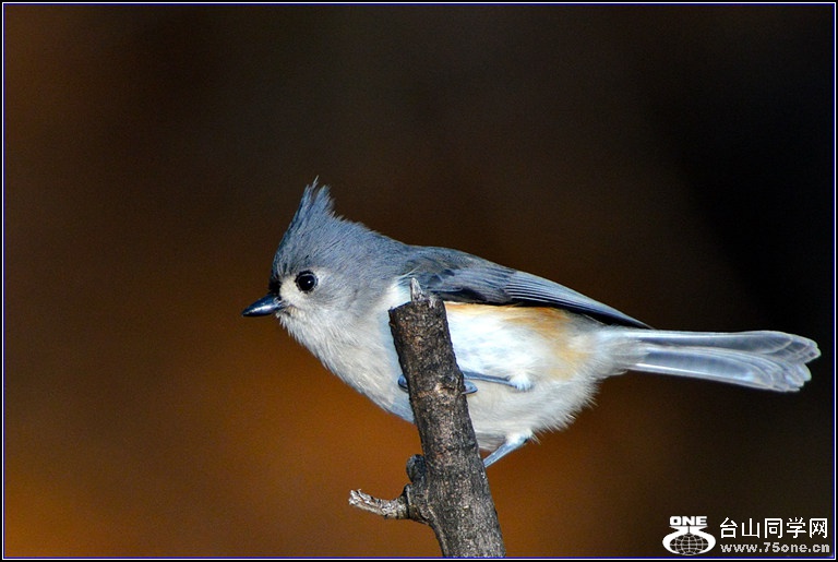 DSC_7958.jpg