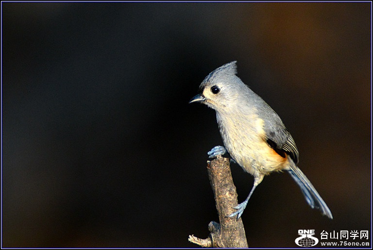 DSC_7961.jpg