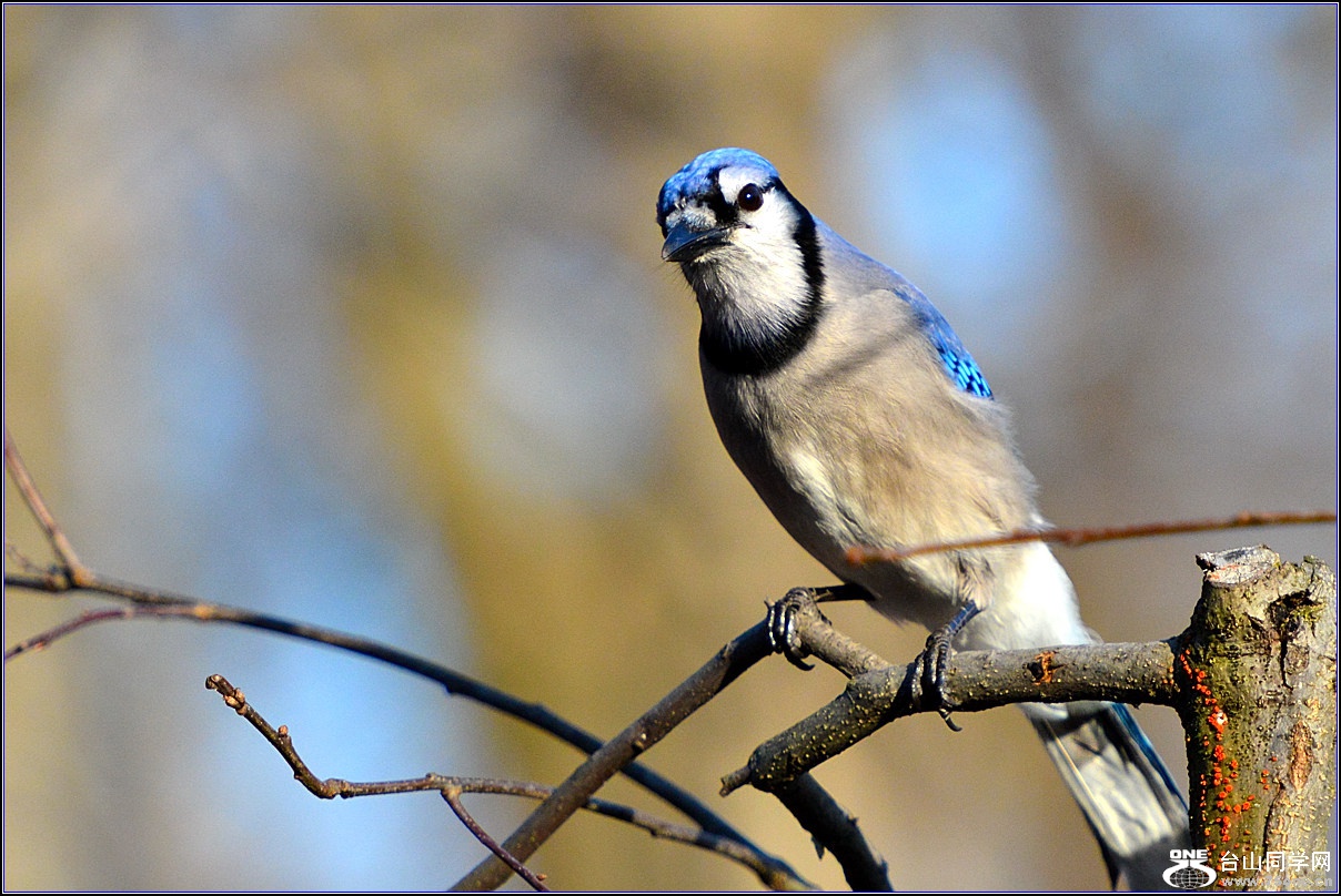 DSC_7674.jpg