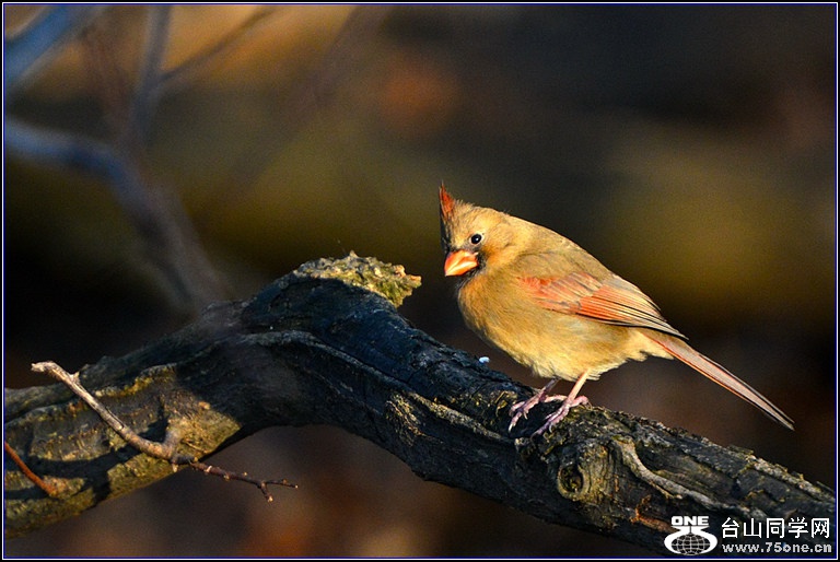 DSC_7889.jpg