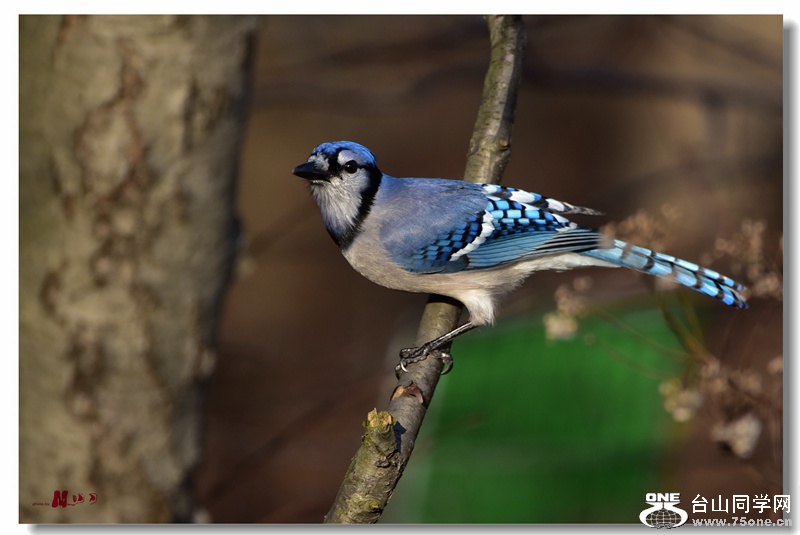 DSC_6787_.jpg