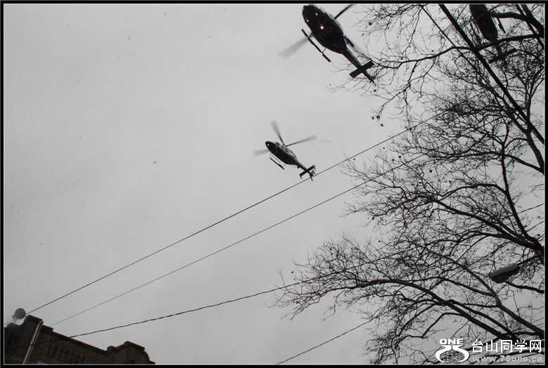 DSC_0115_.jpg