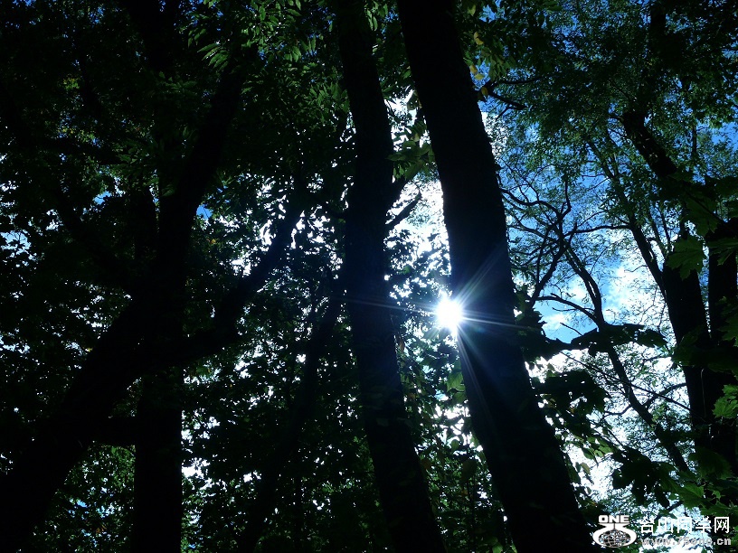 l1720830_conew1.jpg