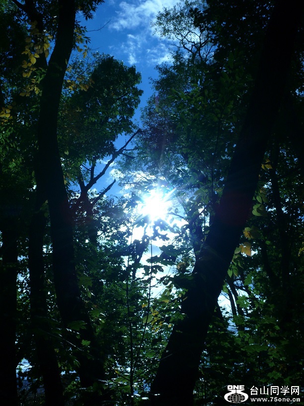 l1720849_conew1.jpg