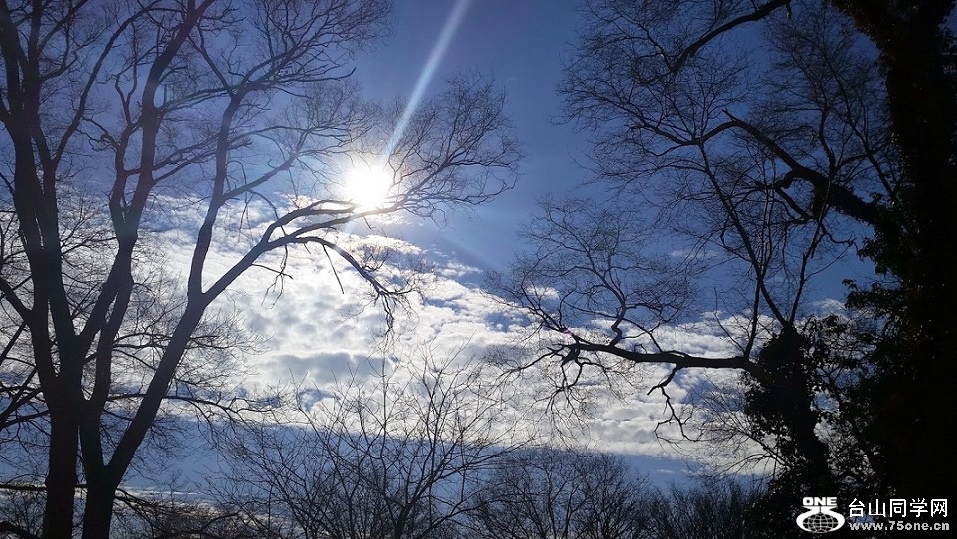 20150120_111022[1].jpg