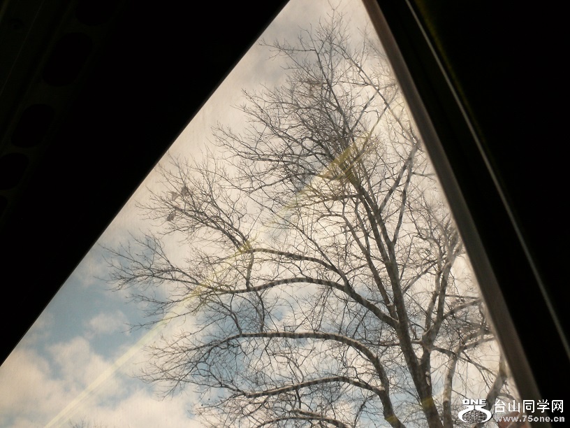 L2050854.JPG
