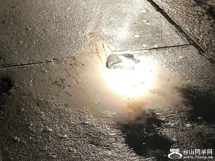 L2050958.JPG