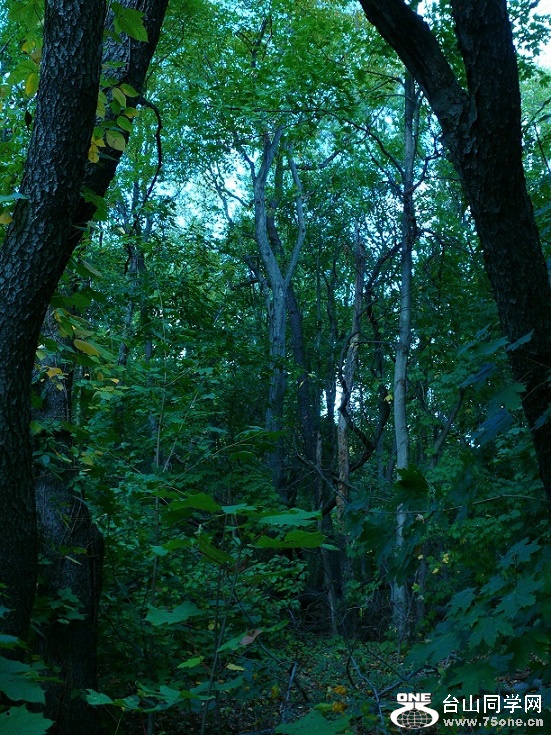 l1720800_conew1.jpg