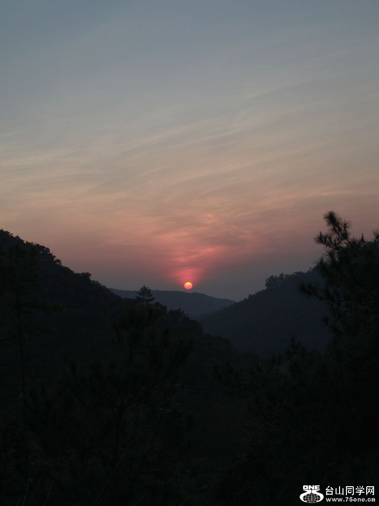 IMG_1445_.jpg