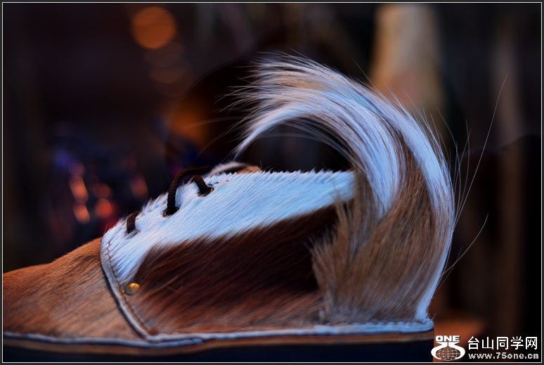 DSC_3970.jpg