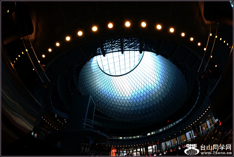 DSC_1133.jpg