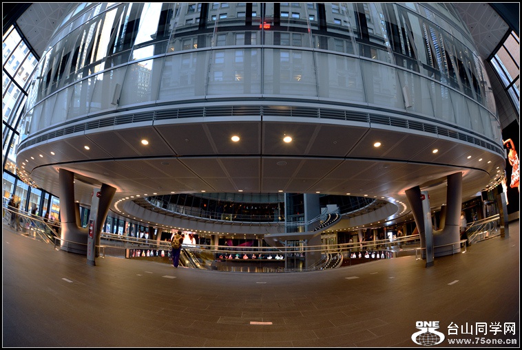 DSC_1195.jpg