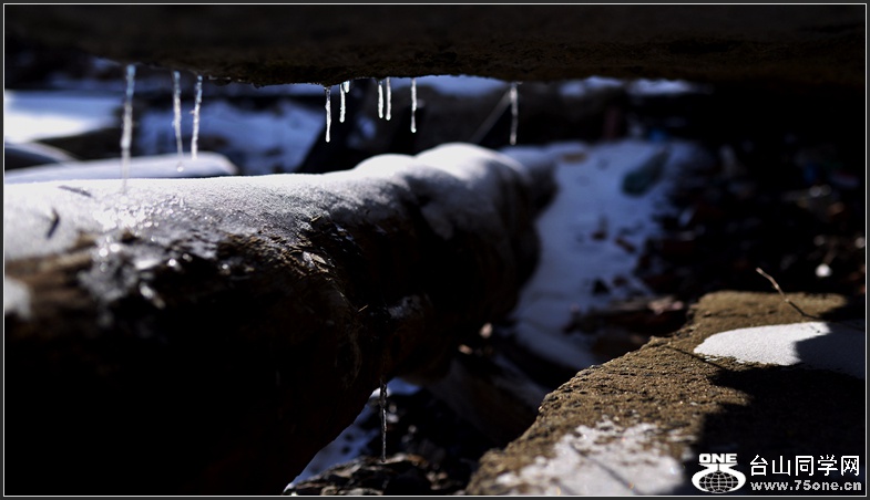 DSC_4013_1.jpg