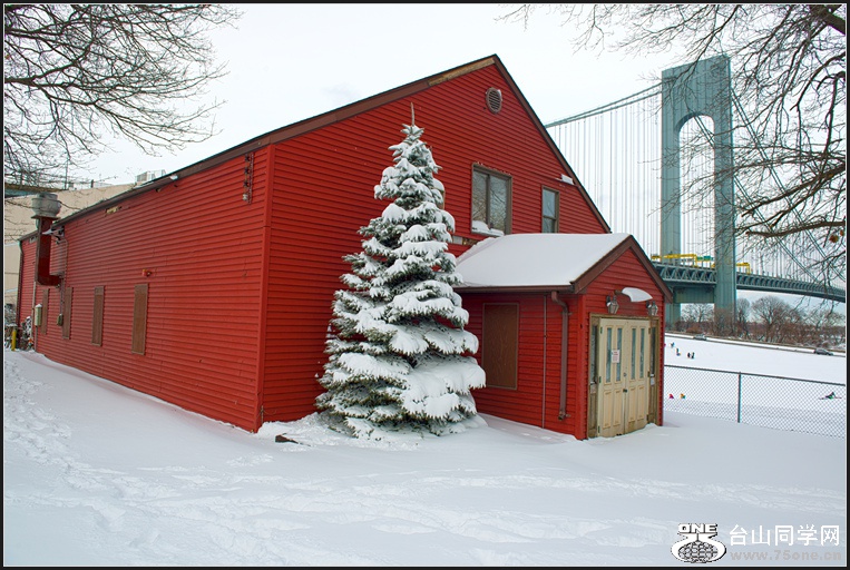DSC_6223.jpg