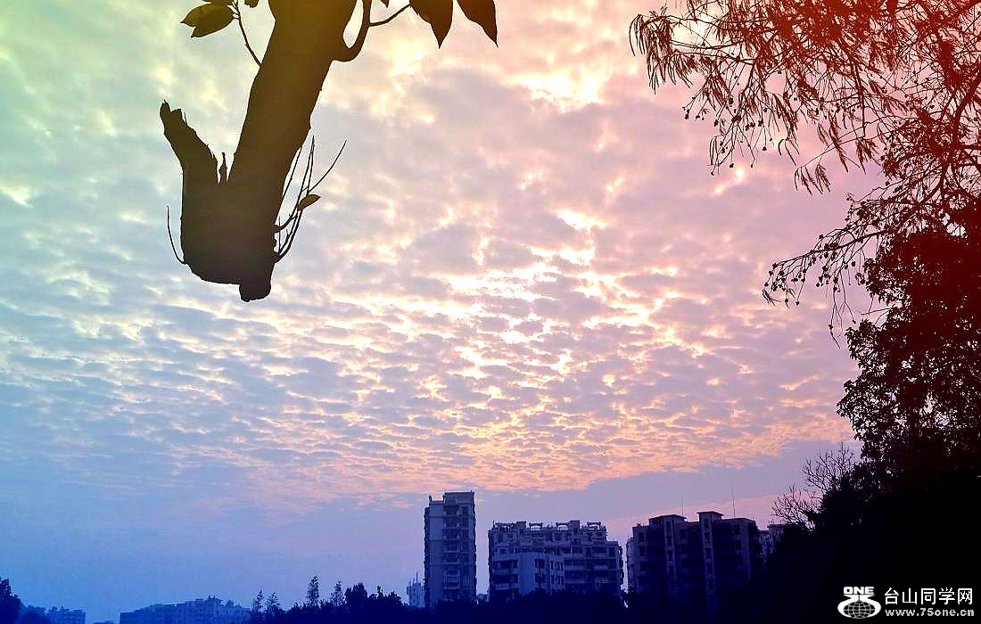 20150110_083742.jpg