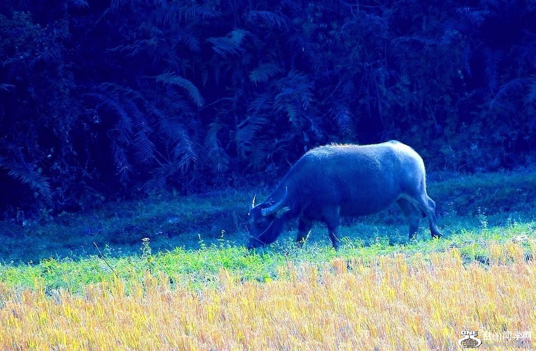 IMG_9245.JPG