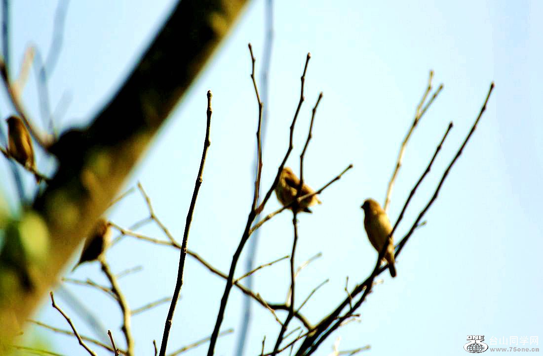 IMG_9247.JPG