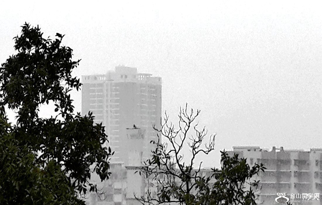 C360_2015-01-12-13-07-44-052.jpg