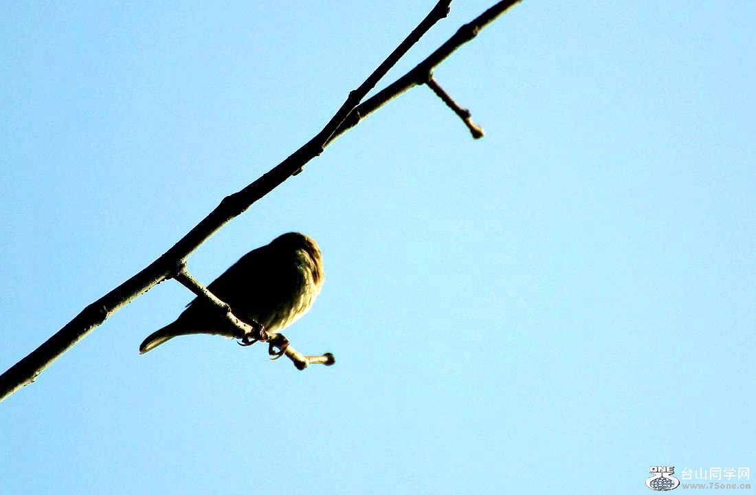 IMG_9248.JPG