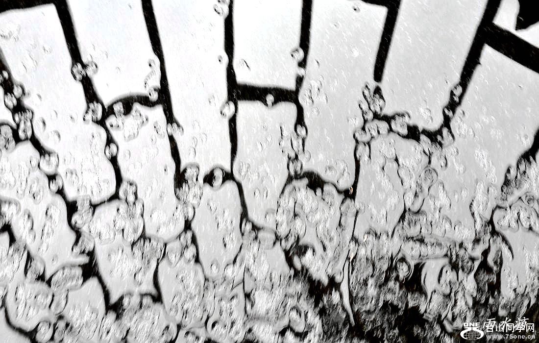 20150112_130543.jpg