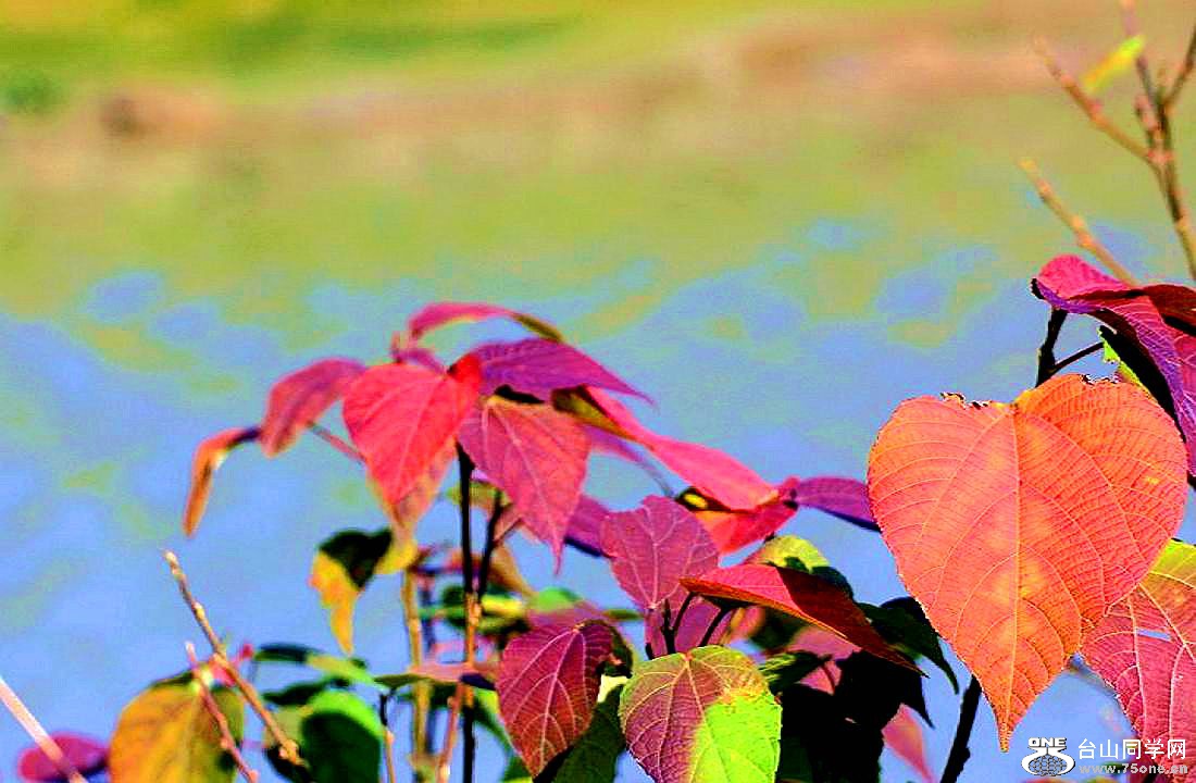 IMG_9215.JPG